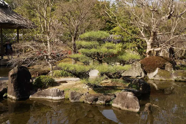 The garden with hill and pond (4)